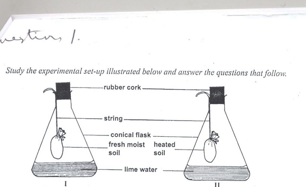 Waec Practical Questions