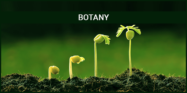 Waec and Jamb subject Combination for Botany
